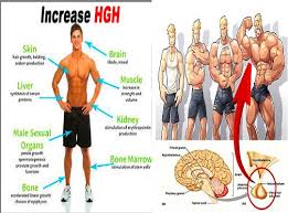 Hgh, or human growth hormone is produced by the pituitary gland and is influential in the growth of the human body. Top 4 Exercises To Boost Growth Hormone Naturally