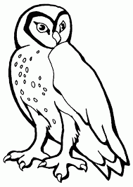 Parents may receive compensation when you click through and purchase from links contained on this website. Owl Free Printable Coloring Pages Coloring Library