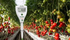 The Importance of pH Levels in Agriculture and Gardening - Hanna  Instruments Australia
