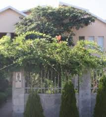 Ți se rupe inima dacă îi afli povestea. Timis Camine De Batrani Timisoara Lugoj Hateg Jimbolia Sanicolau Mare