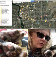 Please consider donating. Dan Montuori has donated his time to finding our  lost pets, over 300 found by him. He was there for us and our beloved  furbabies. Now he needs us