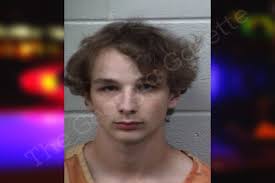 Dylan Fitzgerald — Paulding County Jail Bookings