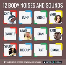 12 Body Noises And Sounds English Vocabulary English Language Learning Learn English Vocabulary