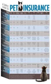 28 Best Life Insurance Comparison Images In 2019