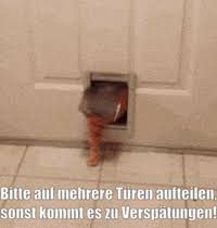 Check spelling or type a new query. Obb Osterreichische Bundesbahnen Gif Find Share On Giphy