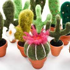 Euphorbia caudicifolia and euphorbia cactus. Needle Felted Cactus Small Needle Felting Felt Succulents Needle Felting Tutorials