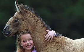 Octopus Caveman On Twitter This Little Girl And Her Horse Diego Are My Favorite