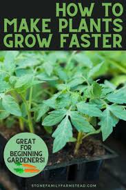 Productive, healthy gardens start with ideal growing conditions and high quality soil. Make Your Plants Grow Faster And Get That Harvest You Want