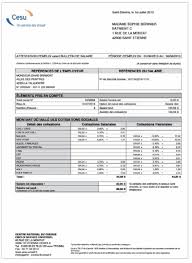 Estimer le coût de l'emploi. Le Cheque Emploi Service Universel