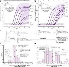 But it tells you only if you have the virus in your body at. Simpler And Faster Covid 19 Testing Strategies To Streamline Sars Cov 2 Molecular Assays Ebiomedicine