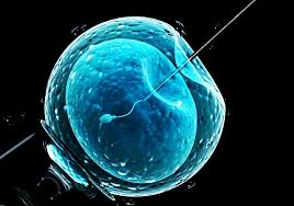 Haram, being the opposite of halal, is all which is clearly forbidden in quran and sunnah (the practice of the. Bayi Tabung Uji Ivf Sebagai Ikhtiar Hamil Hukum Menurut Islam Theasianparent Malaysia