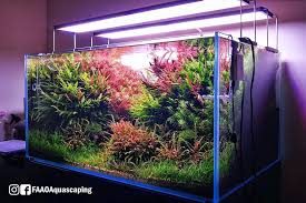 Love This View Faao Aquaflora Aquascaping Planted Aquarium Aquatic Plant Freshwater Plantedtank Aquascape Pla Planted Aquarium Aquascaping Akvaryum
