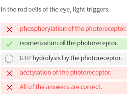 A fully processed mrna typically comprises multiple exons that have been assembled into a single chain following splicing of the nascent primary transcript and the removal of intervening introns. Cell Bio Test 3 Learning Curve Developmental Flashcards Quizlet