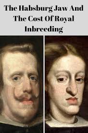 Find and save habsburg memes | from instagram, facebook, tumblr, twitter & more. Pin On Celebrities