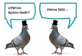 Uterus Sutu Nedir Muhendis Beyinler