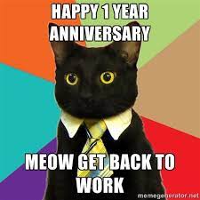 Whether it's for a couple, or amongst friends, or years spent at a it's my 1 year anniversary. Happy 1 Year Anniversary Meow Get Back To Work Business Cat Business Cat Meme Funny Cat Memes