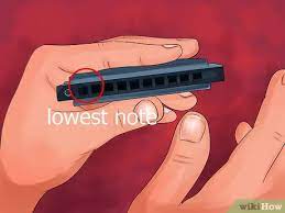 The idea is to help visualise the different keys. How To Hold A Harmonica 10 Steps With Pictures Wikihow