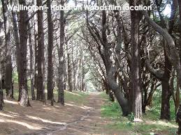 Wellington Hobbiton Woods Film Location Movie Place Filming Locations Places To Visit