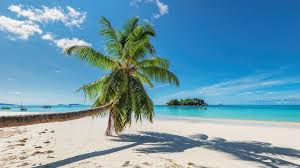 Check spelling or type a new query. Kuba Reise Buchen Hotels Pauschalreisen