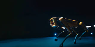 Nescafe dolce gusto capsules are all produced with 12 months of shelf life. Ai Ml Reply Offering