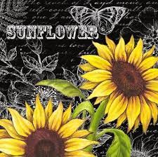Medium Sunflower Decor Sunflowers And Daisies Sunflower Pictures