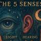 Cosmic Coffees November -- 5 Senses and Beyond event image