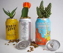 Use the looped tea towel to help you lift the cactus into its new pot, positioning it at the same depth as it was. A Crazy Cute Way To Upcycle Your Empty Drink Can Recyclart Cactus Plant Pots Plant Pot Diy Cactus Plants