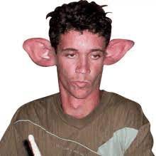 Big Ears Gifs Tenor