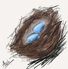 Digital Drawing Of A Nest Easy Drawing For Beginners Easy Drawings For Beginners Drawing For Beginners Easy Drawings