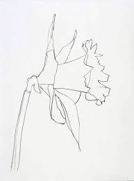 Ellsworth Kelly - Daffodil From A Unique Collection Of Prints And Multiples At Httpwww1stdibscomartprints-works-on-pa Art Ellsworth Kelly Art Drawings