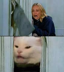 Woman Yelling At A Cat Memes Show No Signs Of Slowing Down New Funny Memes Funny Meme Pictures Funny Cat Memes