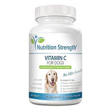 But you don't have to limit yourself! Should Dogs Take Vitamin C Supplements Daily Paws
