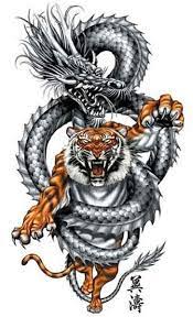 There are two ways to try tiger tattoos. Chinese Dragon And Tiger Tattoos Best Chinese Dragon Tiger Tattoo 10 Tribal Dragon Tattoos Dragon Tattoo Pictures Dragon Tattoos For Men