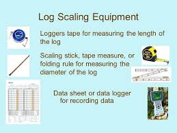 Doyle Log Scale Stick Btrenren Co