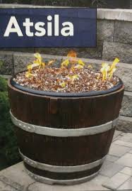 There is also different colored fire glass available. Atsila Wine Barrel Gas Fire Pit