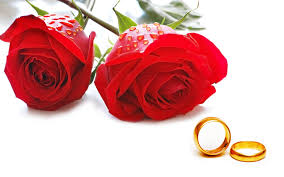 Smart Phones Ios Red Couple Engagement Romantice Marriage Flowers Rings Nature Wallpapers Full Hd Roses Golden Free Stock Photos The Wallpaper
