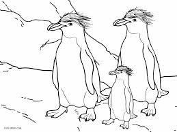 Have fun discovering pictures to print and drawings to color. Printable Penguin Coloring Pages For Kids