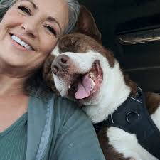 Abandoned dog rescue and recovery story