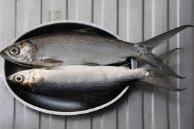 Seperti ikan laut yang lain, ikan kakap memiliki banyak manfaat untuk tubuh. 5 Cara Menghilangkan Duri Ikan Bandeng Makan Jadi Makin Nikmat
