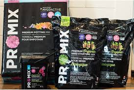 Nearly all of the peat moss sold in the united states comes from. Starting Begonias From Seed Indoors A Complete How To Guide