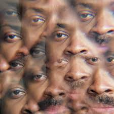 Image result for Platterpus