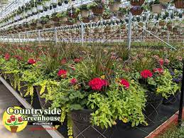 Check spelling or type a new query. Countryside Greenhouse Home Facebook