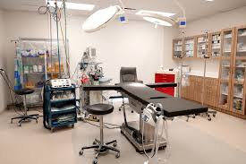 You will find in this page an excerpt of the astrological portrait and the interpration of the planetary dominants. The Clinic The Rose Clinic