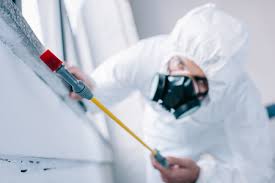 How much is an exterminator? Pest Control Stock Photos And Images 123rf