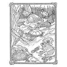 Jan brett mitten coloring page. Top 10 Jan Brett Coloring Pages For Toddlers