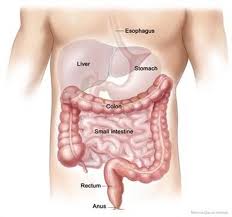 A colon can also introduce something that acts as an appositive. 4 Things You Need To Know Before Colon Surgery Premier Surgical Associates