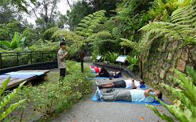 Diversity and ecological characteristics of terrestrial freshwater crabs on penang hill. 14 02 2021 Penang Pulls Out All Stops To Woo Domestic Tourists