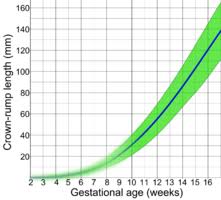 gestational age wikipedia