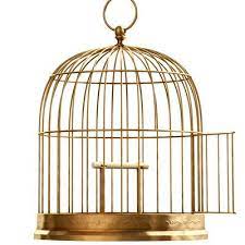 Human Sized Cage Google Search Vintage Bird Cage Bird Cage Vintage Birds