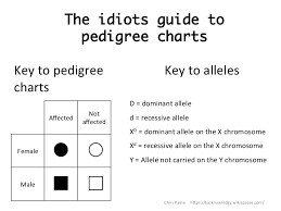 Idiots Guide To Analysing Pedigree Charts